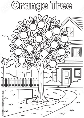 coloring book Orange tree in front yard of two-story house driveway