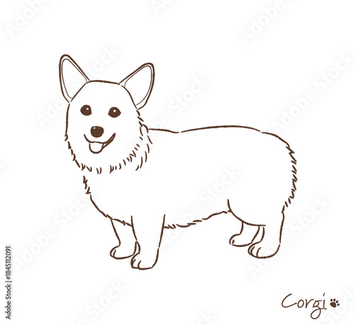 手描きのコーギー線画_ベクターイラスト