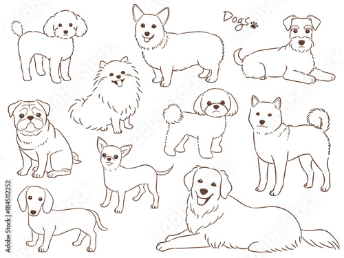 手描きの犬のセット線画_ベクターイラスト