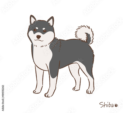 手描きの柴犬黒毛_ベクターイラスト
