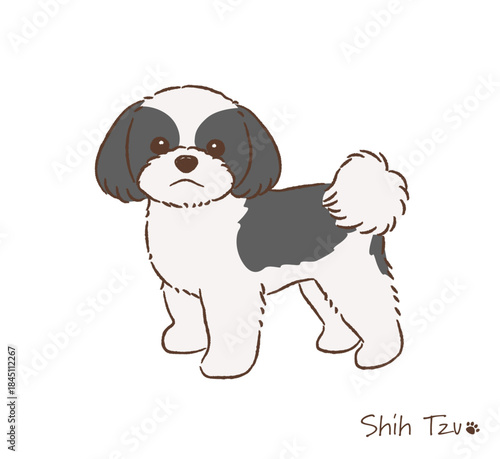 手描きのシーズー線画_ブラック＆ホワイト_ベクターイラスト