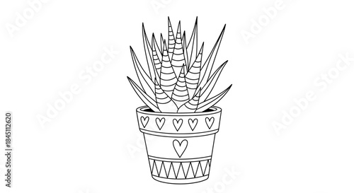 Line drawing of a potted succulent with tall spiky leaves and decorative heart motifs around the pot for a cute botanical illustration.