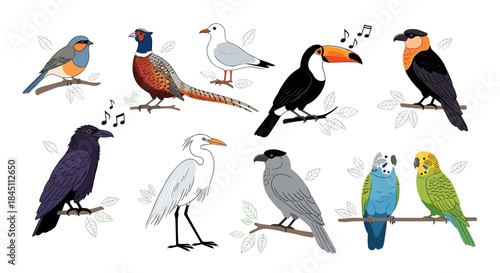 Colorful illustrated collection of songbirds perched on branches showing diverse species and playful poses in a bright natural scene for educational use.
