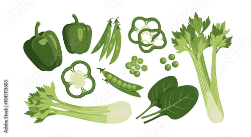 Green vegetables in a vibrant assortment arranged on a clean white background featuring bell peppers okra peas celery spinach and leafy greens.