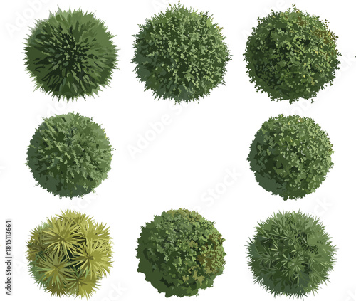 Top view green bushes and shrubs collection featuring diverse foliage textures, botanical elements, landscape vegetation, nature plants, vector illustration for garden design