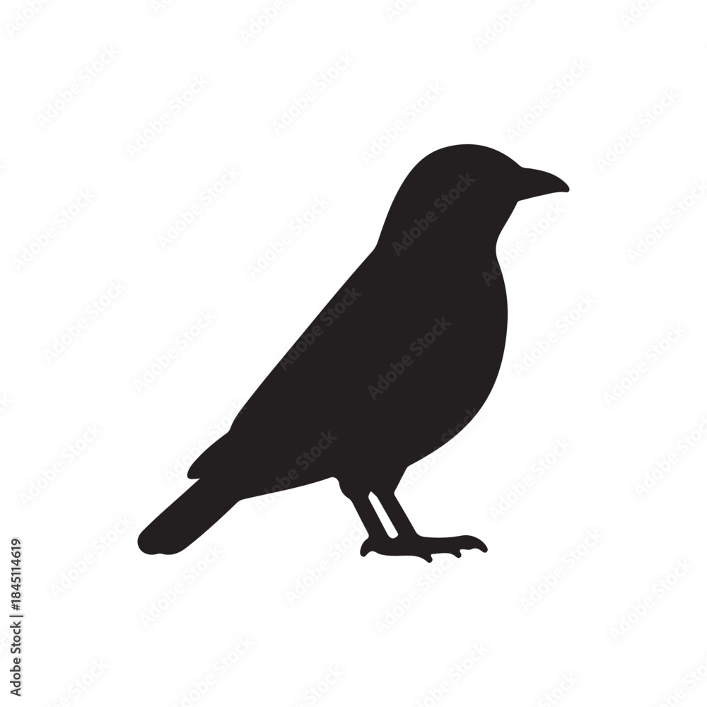 Fototapeta premium Myna silhouette icon vector flat design