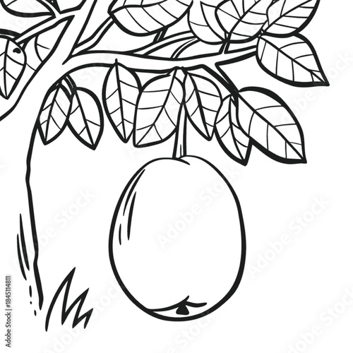 Guava on branch