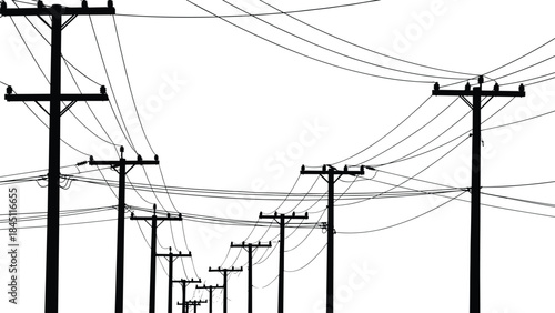 Silhouette of multiple power poles and overhead electrical wires against white Keywords: power pole, electricity, wires, cables