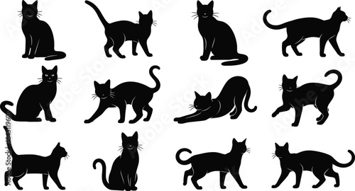 Black cat silhouettes set, various poses, cute feline collection, minimal vector illustration for pets, animals, decoration, icons, and design projects
