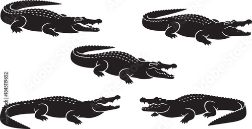 Five different crocodiles alligator cayman silhouettes with open jaws and sharp teeth