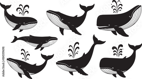 Whale silhouettes vector illustration set different poses blowhole water spout ocean mammals wildlife marine fauna design element