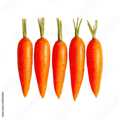 Five whole orange carrots with green tops arranged in a row on black vegetable food, Png On White Background, Isolated on Transparent Background, Cut Out
