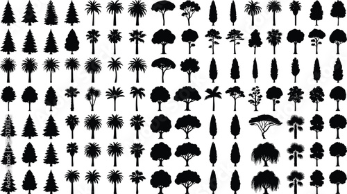 Tree silhouettes mega collection, diverse forest tropical pine and palm trees, detailed botanical vector illustration for landscape design, environment, and outdoor projects