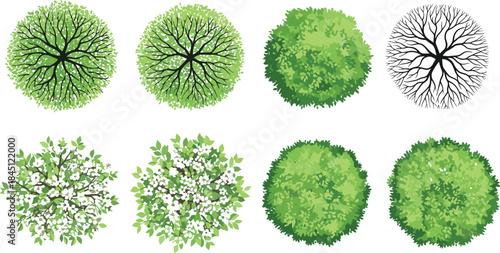 Top view green tree canopies and shrubs collection featuring diverse foliage textures, botanical elements, landscape vegetation, nature plants, vector illustration design