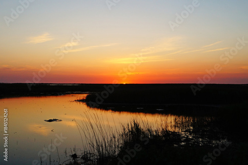 Sunrise over a lake surrounded by tall grass on a warm summer day