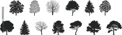 Tree silhouette set, seasonal foliage, bare branches, conifer shape, botanical diversity, black vector, white background, isolated illustration, nature design