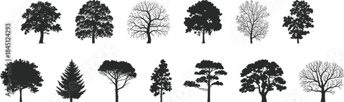 Tree silhouette, bare branches, leafy tree, seasonal foliage, botanical shape, forest icon, black vector, white background, isolated illustration, nature design