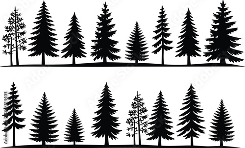 Conifer tree silhouettes, pine, fir, black silhouette, foliage density, tree shape, forest design, nature, landscape, evergreen, morphology