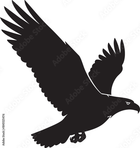 Black silhouette of a bird of prey in flight with wings spread wide