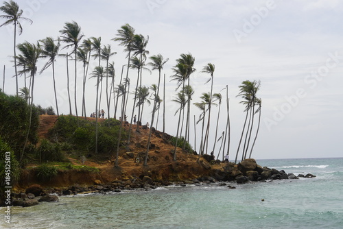 Wallpaper Mural Tropical Palm Trees Overlooking Turquoise Ocean in Sri Lanka Torontodigital.ca