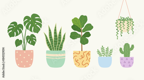 Charming Houseplant Collection: Greenery for Home Decor & Lifestyle