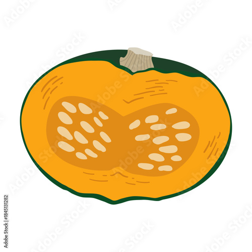 かぼちゃのイラスト　炭水化物の多い野菜