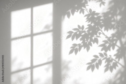 Soft shadow of tree leaves falling through the window on a bright wall.