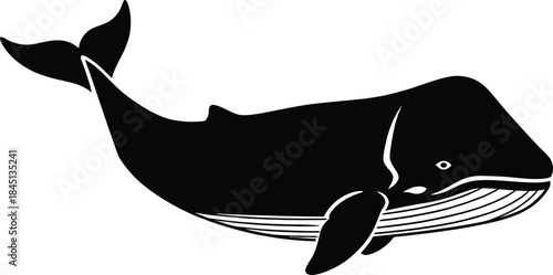 Large black and white whale silhouette vector illustration with raised tail and flipper isolated on a white background for marine life and ocean design.