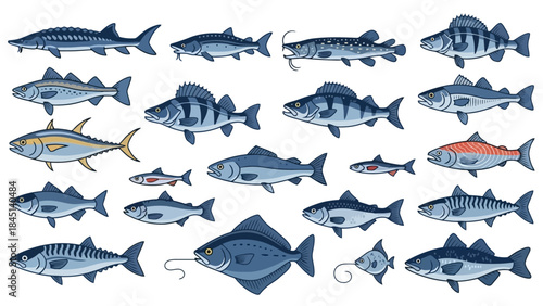 Diverse Collection of Fresh Fish Species, Illustrated in a Clean Vector Style