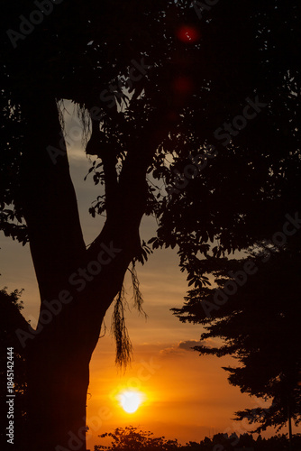 sunset over the forest 