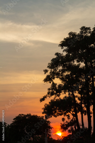 sunset over the forest 