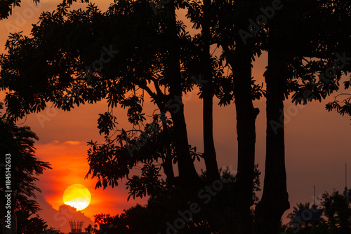 sunset over the forest 
