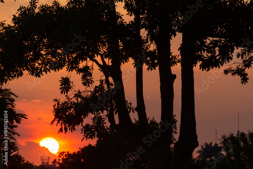 sunset over the forest 