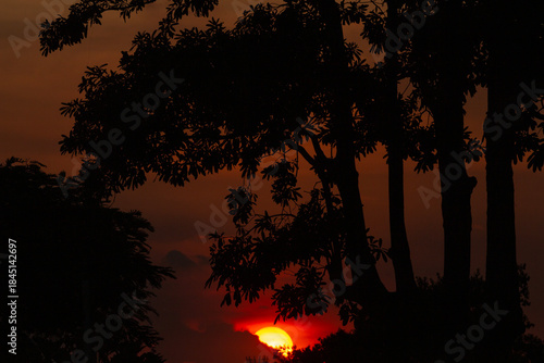 sunset over the forest 