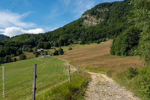 Un chemin dans les alpages (Savoie, France)