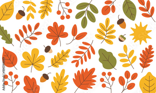 Assorted Autumn Leaves and Acorns on White Background fall leaf