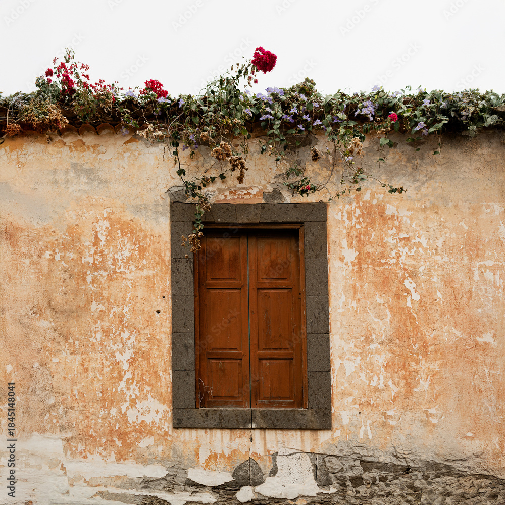 Fototapeta premium Rustic Wooden Door Surrounded by Flowers