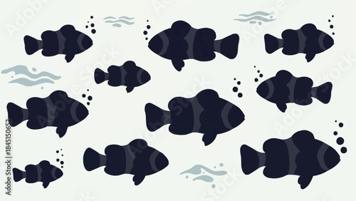 A school of black clownfish swimming together in a group.