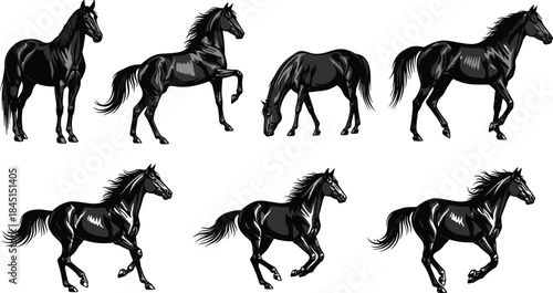 Detailed black horse vector illustration set showing different actions like galloping trotting standing grazing for equestrian sport racing farm animal mascot logo design.