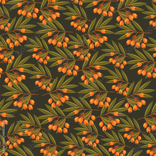 Sea buckthorn seamless pattern. Flat vector clipart, illustration with isolated background.