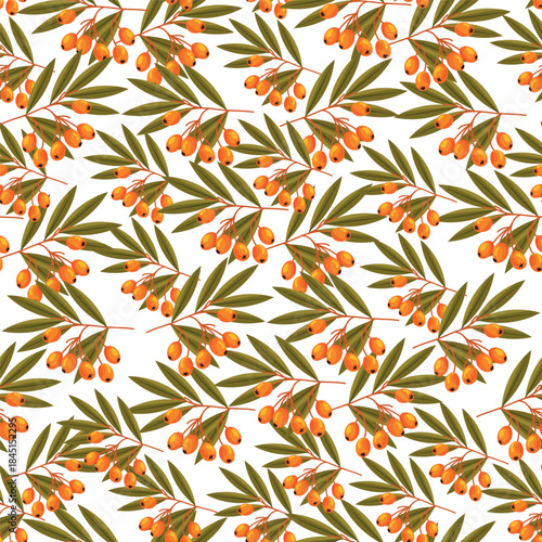 Sea buckthorn seamless pattern. Flat vector clipart, illustration with isolated background.