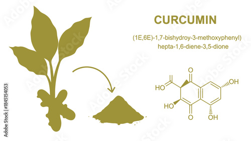 Curcumin chemical compound found in turmeric plant used for medicinal and culinary purposes with molecular structure