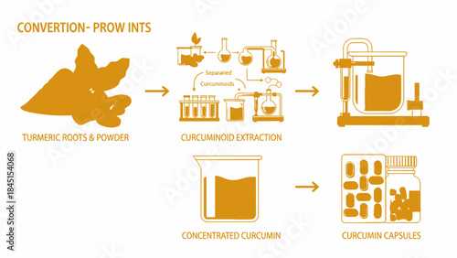 Turmeric roots and powder converted into curcumin capsules through curcuminoid extraction and concentration process