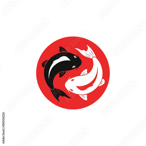 Koi Fish Duo Black And White Swimming.