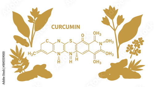 Curcumin chemical structure with turmeric plant silhouettes and molecular formula illustration