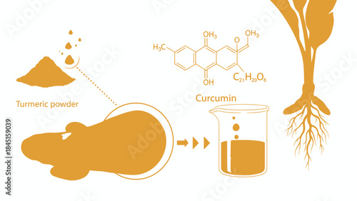 Turmeric powder with curcumin molecular structure and plant roots on white background