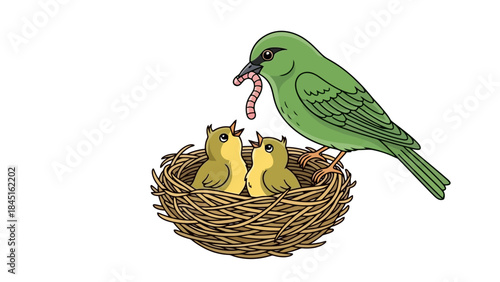 Mother Bird Feeding Worms to Hungry Chicks in a Nest, Vector Illustration