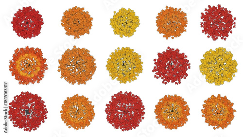 Detailed three-dimensional models of various complex molecular structures, ideal for scientific visualization and research