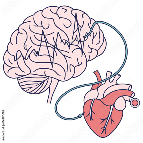 Human Brain Connected to Heart with Medical Tube connection
