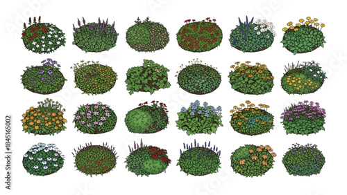 Diverse collection of illustrated garden bushes and shrubs with colorful blooms for landscaping designs